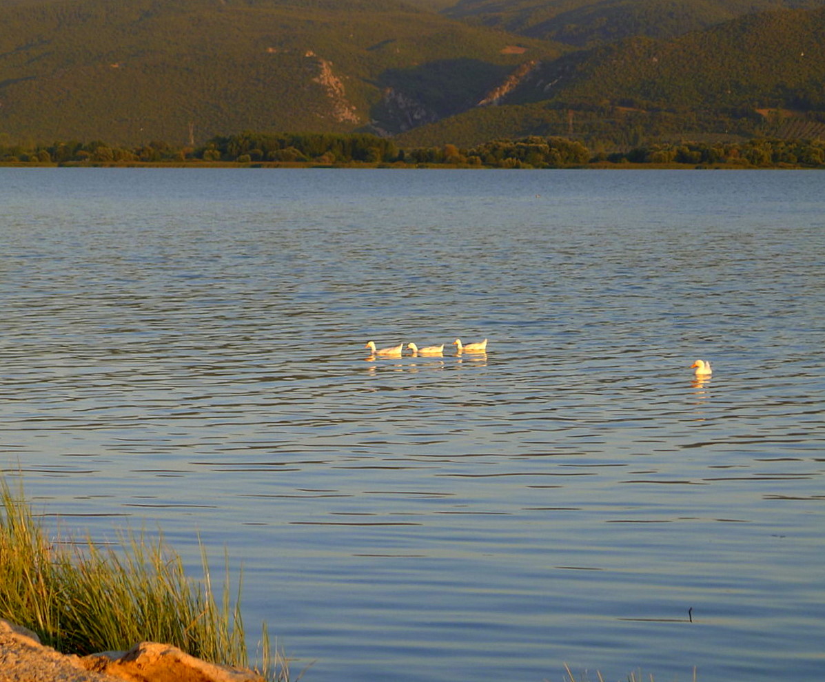  Apolyont Lake ( Uluabat Lake )